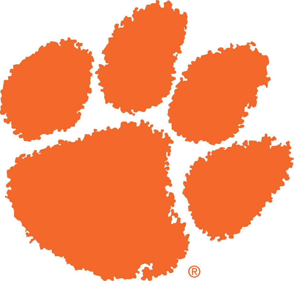 Clemson Tigers 1977-Pres Primary Logo iron on transfers for clothing